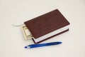 Diary, pen and some dollars Royalty Free Stock Photo