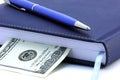 Diary, pen and US dollar isolated Royalty Free Stock Photo