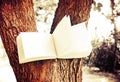 Diary on tree