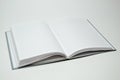 Diary on a white background Royalty Free Stock Photo