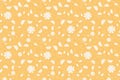 Diasy flowers seamless pattern white yellow orange