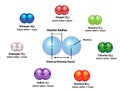 Atomic Radius of Diatomic Molecules