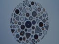 Diatoms from the sea Royalty Free Stock Photo