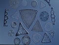 Diatoms from the sea Royalty Free Stock Photo