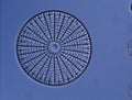 Diatoms from the sea Royalty Free Stock Photo