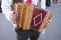 Diatonic accordion Royalty Free Stock Photo