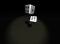 Dice Royalty Free Stock Photo