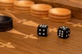 Dice on a backgammon board Royalty Free Stock Photo