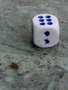 DICE AND A BEE