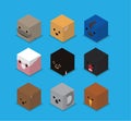 Dice Box 3D Character Australia Animal Set Cartoon Vector