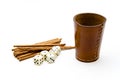 Dice cup with saltsticks Royalty Free Stock Photo
