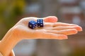 Dice 2 4 in the female hand, sunset background. Gambling devices. Royalty Free Stock Photo