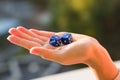 Dice 1 2 in the female hand, sunset background. Gambling devices. Royalty Free Stock Photo