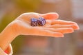 Dice 4 5 in the female hand, sunset background. Gambling devices. Royalty Free Stock Photo