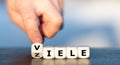 Dice form the German words `viele Ziele` many targets. Royalty Free Stock Photo