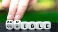 Dice form the words audible and visible. Royalty Free Stock Photo