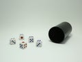 Dice game. Board game. Game of fortune. Bet to win. Traditional game. Leisure. Casino. Royalty Free Stock Photo