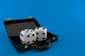 Dice inside black briefcase Royalty Free Stock Photo