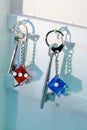 Dice Key Chains Royalty Free Stock Photo