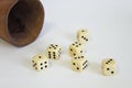 Dice play game Kniffel cup leather number luck