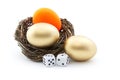 Dice and red nest egg reflect investment risk