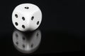 Dice with reflection Royalty Free Stock Photo