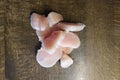 Diced chicken pieces of healthy lean white meat on a cutting board, filleted for cooking Royalty Free Stock Photo