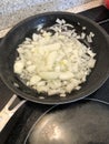 sauteing onions in skillet frypan