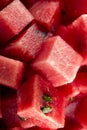 Diced watermelon bio