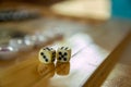 Dices for backgammon. Back gammon table game close up shot. Royalty Free Stock Photo