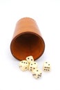 Dices with dice cup Royalty Free Stock Photo