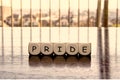 5 dices forming the Word `pride`