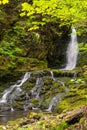 Dickson Falls (Slow shutter speed)