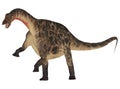 Dicraeosaurus Royalty Free Stock Photo