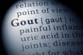 Dictionary definition of gout