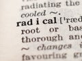 Dictionary definition of word radical