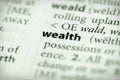 Dictionary Series - Economics: wealth