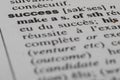 Dictionary word success, close up Royalty Free Stock Photo