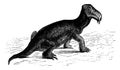 The dicynodont, reptile of the Triassic era Southern Africa, vintage engraving