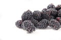 Did you find out what you see here I did they are fresh blackberry `s