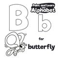 Didactic Alphabet to Color it, with Letter B and Butterfly, Vector Illustration Royalty Free Stock Photo