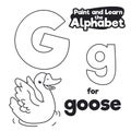 Didactic Alphabet to Color it, with Letter G and Goose, Vector Illustration