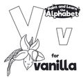 Didactic Alphabet to Color it, with Letter V and Vanilla, Vector Illustration