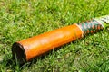 Didgeridoo on the grass