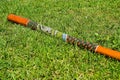 Didgeridoo on the grass