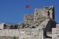 Didim, Ayd?n, TÃ¼rkiye, November 22, 2014. Ruins of the ancient amphitheatre at Miletus.