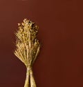 Didukh or sheaf of rye and dry cereals on beige background. The symbol of the spirit of the guardian of the house or Savior of the