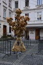 Didukh , symbol of Ukrainian Christmas in the center of Lvov city