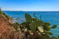 Coastal landscape, coast in Piombino, Tuscany, Italy Royalty Free Stock Photo