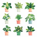 Dieffenbachia Pot Plant Icon Set, Dieffenbachia Plant Flat Design, Abstract Dieffenbachia Symbol